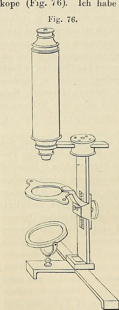 An illustration from Das mikroskop : Theorie, gebrauch, geschichte und gegenwärtiger zustand desselben, 1866, leaf 831