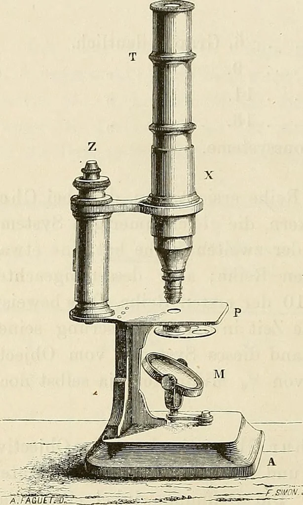 An illustration from Das mikroskop : Theorie, gebrauch, geschichte und gegenwärtiger zustand desselben, 1866, leaf 843