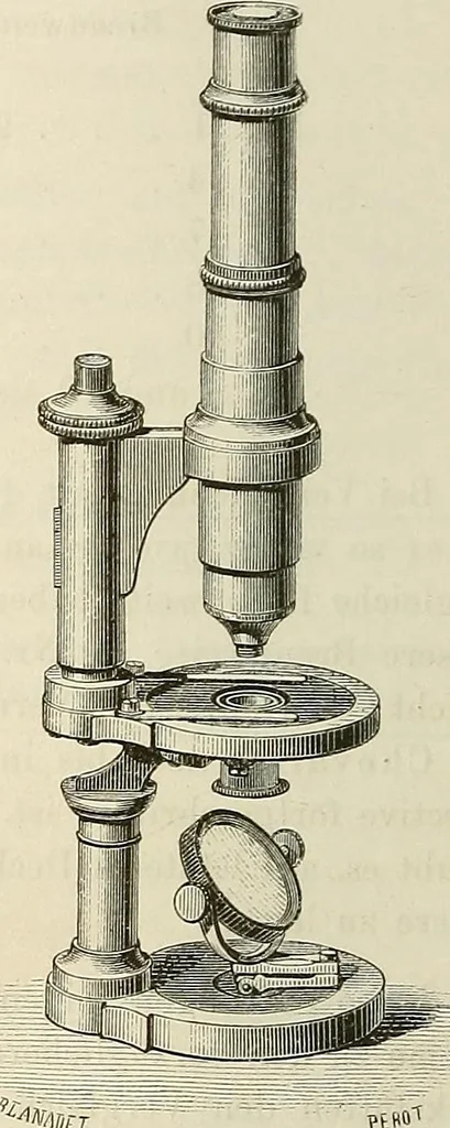 An illustration from Das mikroskop : Theorie, gebrauch, geschichte und gegenwärtiger zustand desselben, 1866, leaf 843