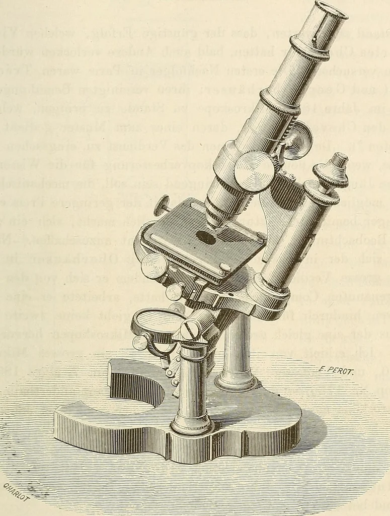An illustration from Das mikroskop : Theorie, gebrauch, geschichte und gegenwärtiger zustand desselben, 1866, leaf 844