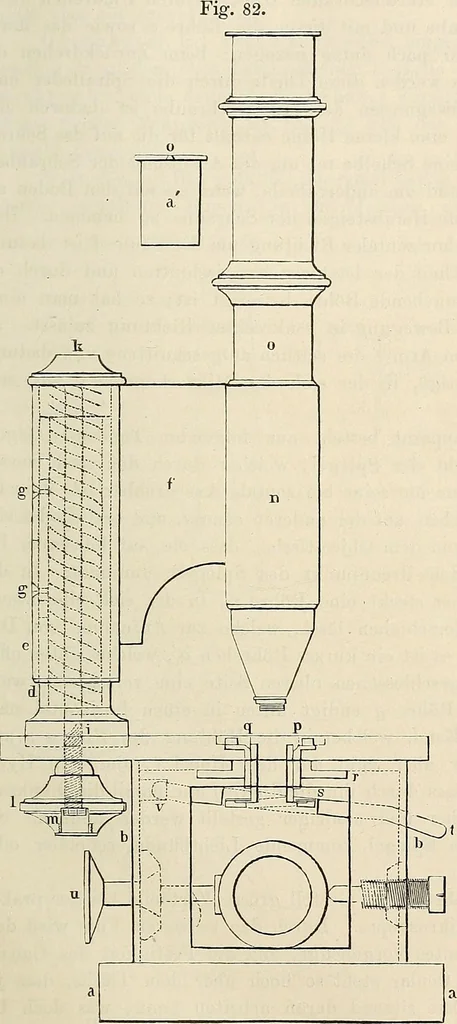 An illustration from Das mikroskop : Theorie, gebrauch, geschichte und gegenwärtiger zustand desselben, 1866, leaf 846