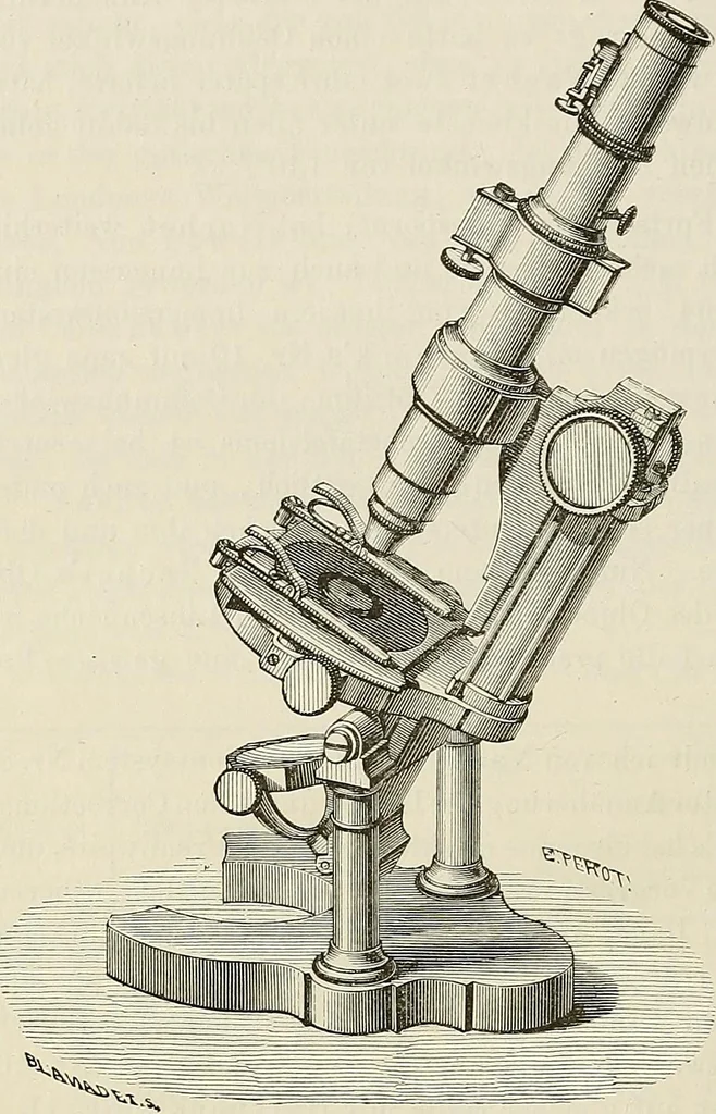 An illustration from Das mikroskop : Theorie, gebrauch, geschichte und gegenwärtiger zustand desselben, 1866, leaf 859