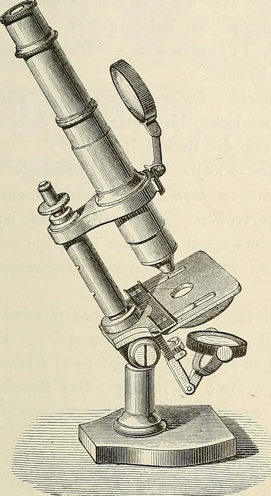 An illustration from Das mikroskop : Theorie, gebrauch, geschichte und gegenwärtiger zustand desselben, 1866, leaf 860