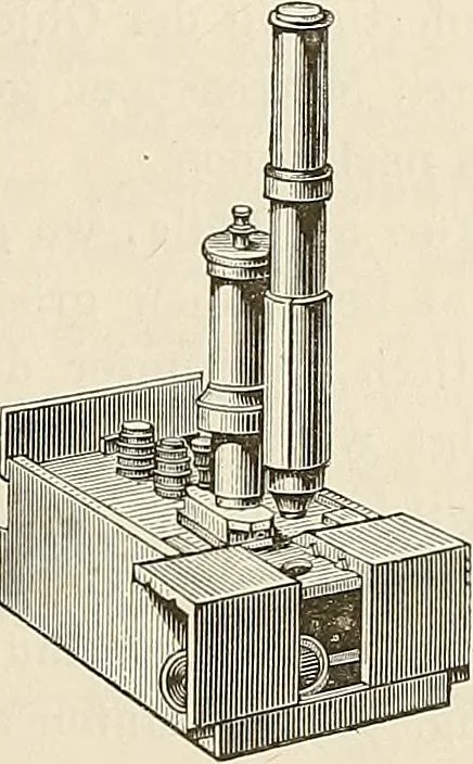 An illustration from Das mikroskop : Theorie, gebrauch, geschichte und gegenwärtiger zustand desselben, 1866, leaf 860