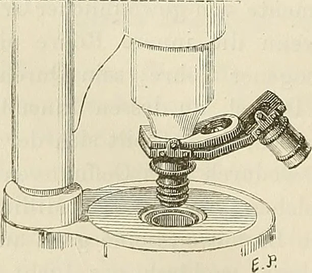 An illustration from Das mikroskop : Theorie, gebrauch, geschichte und gegenwärtiger zustand desselben, 1866, leaf 861