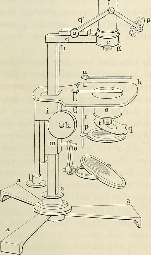 An illustration from Das mikroskop : Theorie, gebrauch, geschichte und gegenwärtiger zustand desselben, 1866, leaf 866
