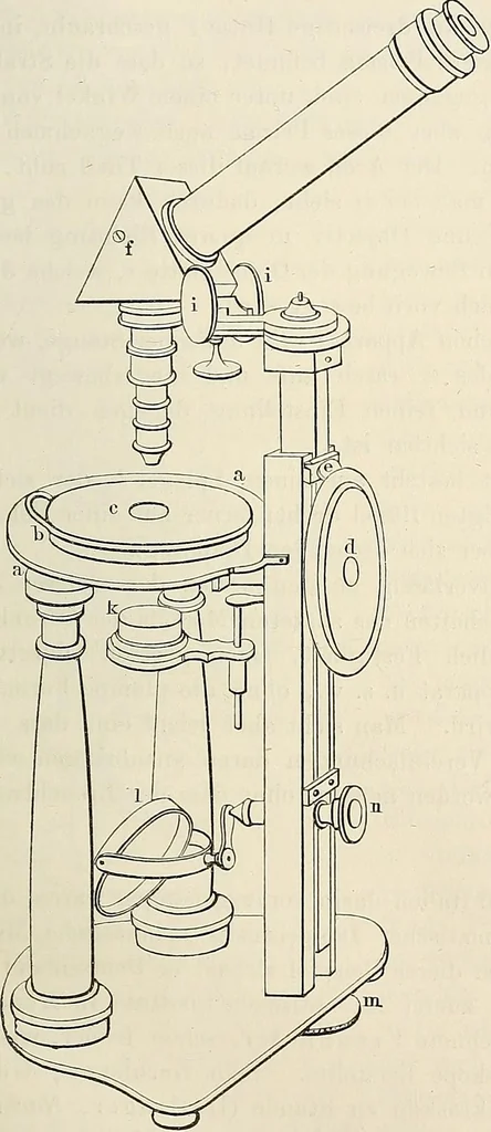 An illustration from Das mikroskop : Theorie, gebrauch, geschichte und gegenwärtiger zustand desselben, 1866, leaf 872