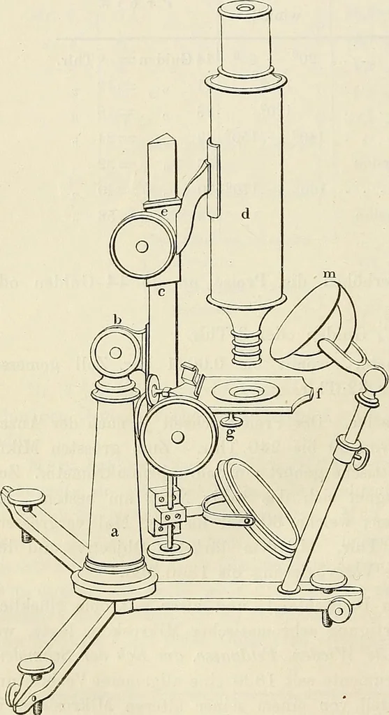 An illustration from Das mikroskop : Theorie, gebrauch, geschichte und gegenwärtiger zustand desselben, 1866, leaf 879