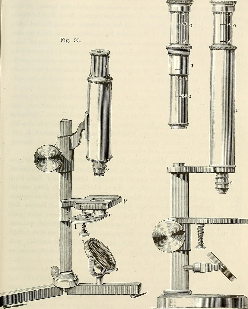 An illustration from Das mikroskop : Theorie, gebrauch, geschichte und gegenwärtiger zustand desselben, 1866, leaf 880