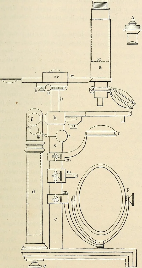 An illustration from Das mikroskop : Theorie, gebrauch, geschichte und gegenwärtiger zustand desselben, 1866, leaf 896