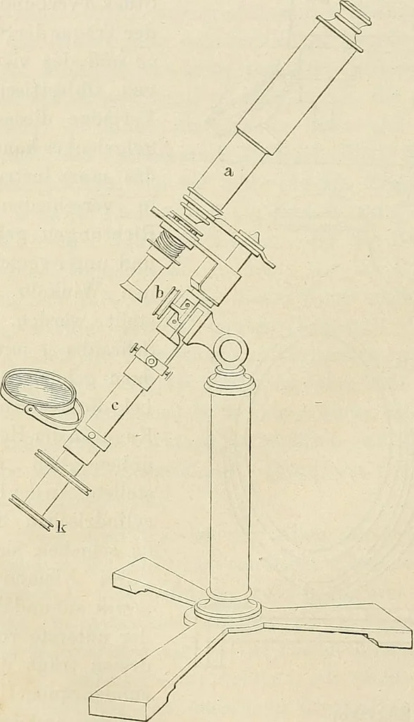 An illustration from Das mikroskop : Theorie, gebrauch, geschichte und gegenwärtiger zustand desselben, 1866, leaf 897