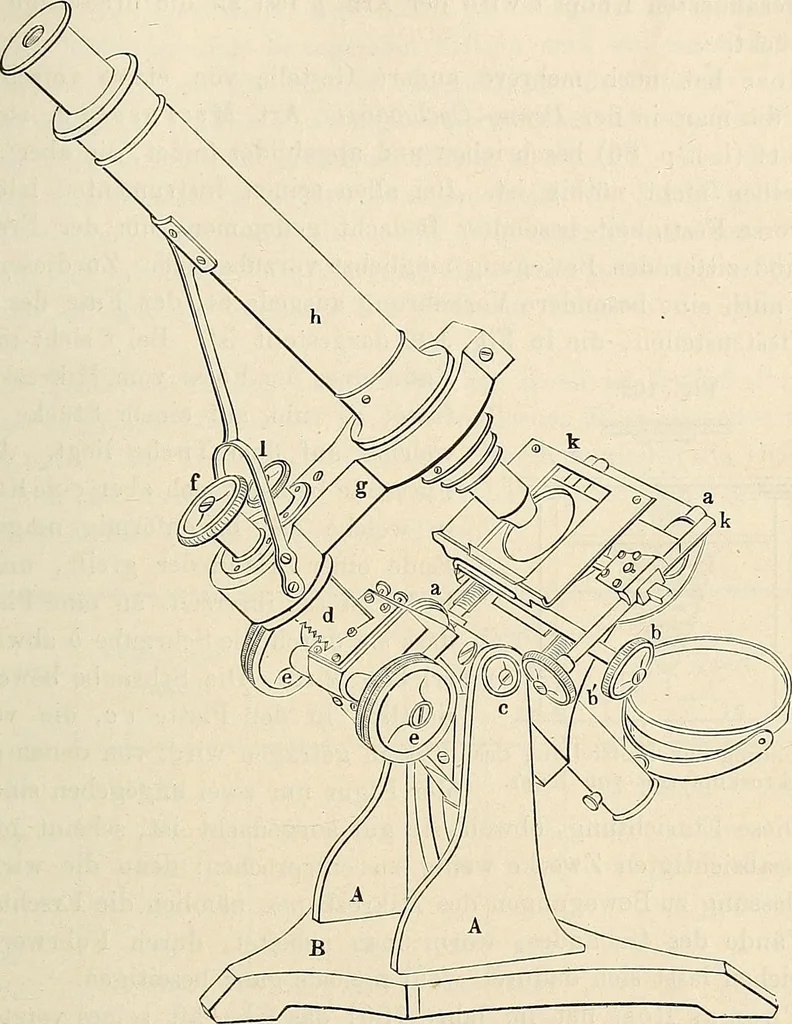 An illustration from Das mikroskop : Theorie, gebrauch, geschichte und gegenwärtiger zustand desselben, 1866, leaf 902