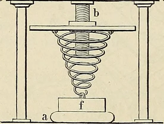 An illustration from Das mikroskop : Theorie, gebrauch, geschichte und gegenwärtiger zustand desselben, 1866, leaf 903