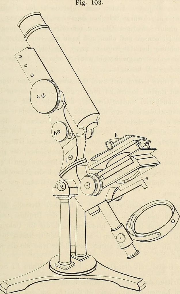 An illustration from Das mikroskop : Theorie, gebrauch, geschichte und gegenwärtiger zustand desselben, 1866, leaf 908