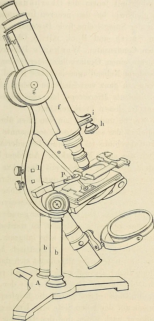An illustration from Das mikroskop : Theorie, gebrauch, geschichte und gegenwärtiger zustand desselben, 1866, leaf 912