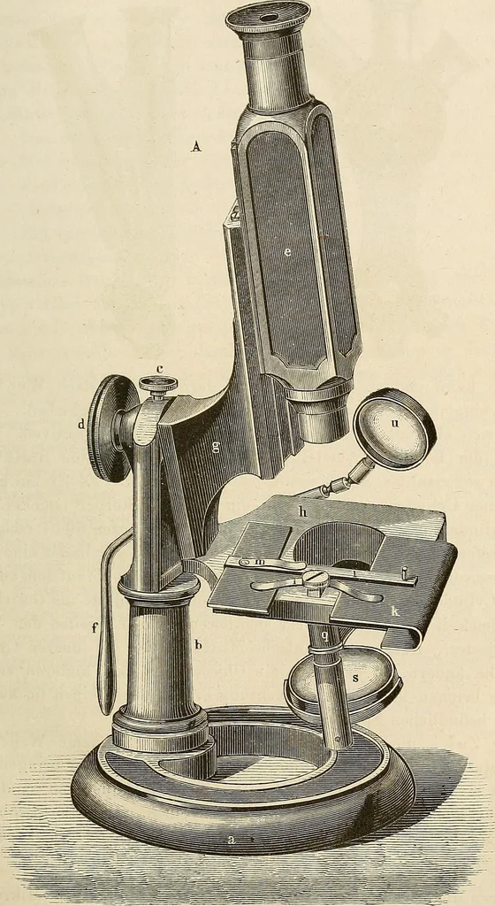 An illustration from Das mikroskop : Theorie, gebrauch, geschichte und gegenwärtiger zustand desselben, 1866, leaf 914