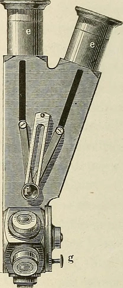 An illustration from Das mikroskop : Theorie, gebrauch, geschichte und gegenwärtiger zustand desselben, 1866, leaf 915