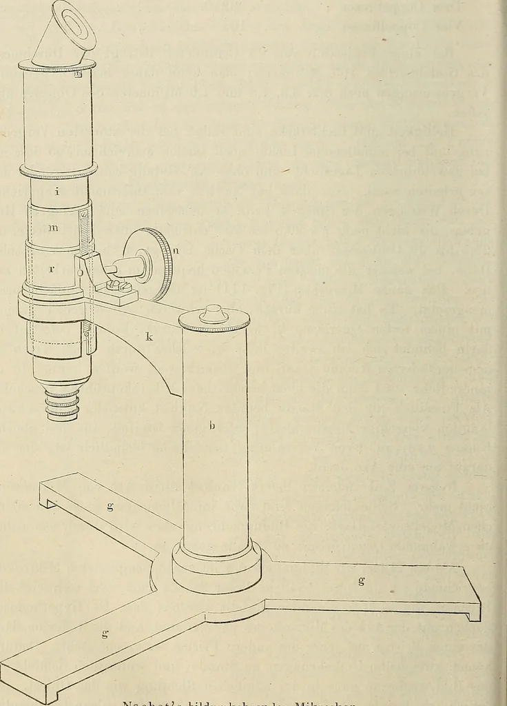 An illustration from Das mikroskop : Theorie, gebrauch, geschichte und gegenwärtiger zustand desselben, 1866, leaf 927