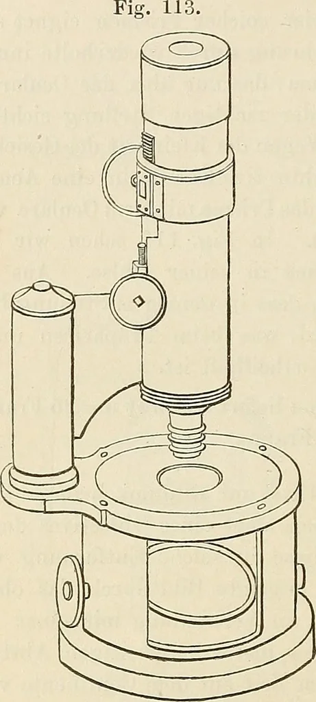 An illustration from Das mikroskop : Theorie, gebrauch, geschichte und gegenwärtiger zustand desselben, 1866, leaf 929