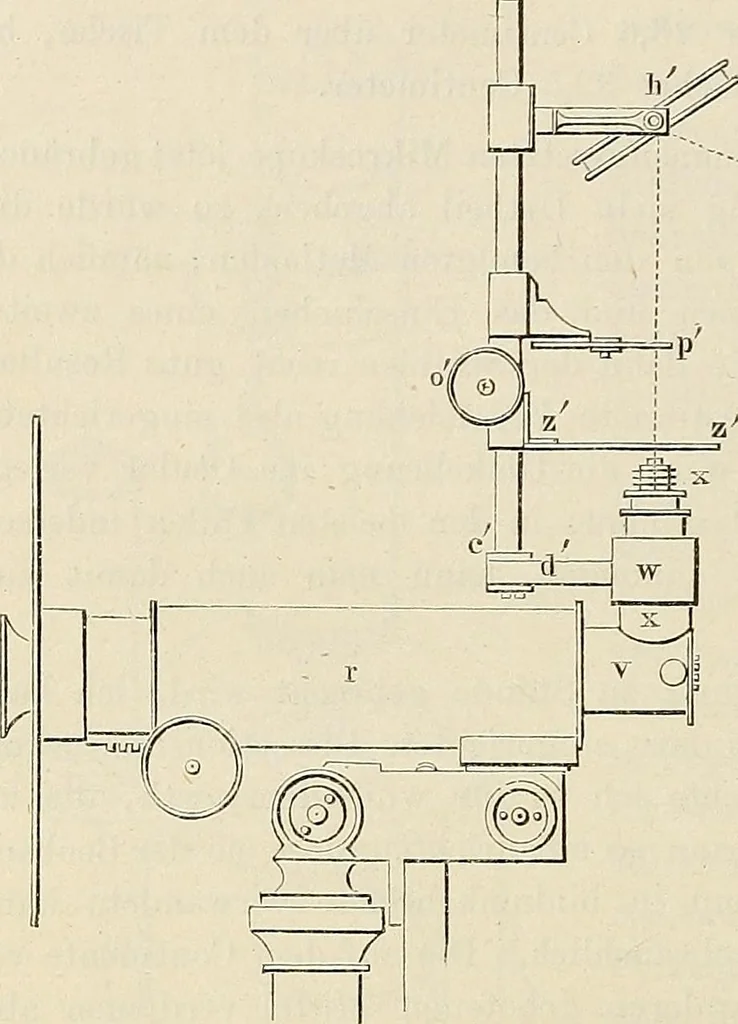 An illustration from Das mikroskop : Theorie, gebrauch, geschichte und gegenwärtiger zustand desselben, 1866, leaf 931