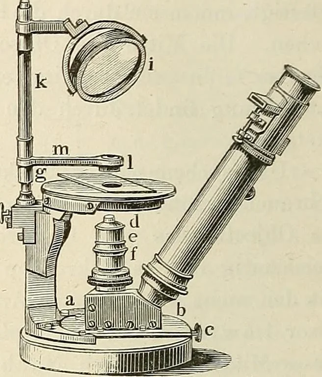 An illustration from Das mikroskop : Theorie, gebrauch, geschichte und gegenwärtiger zustand desselben, 1866, leaf 933