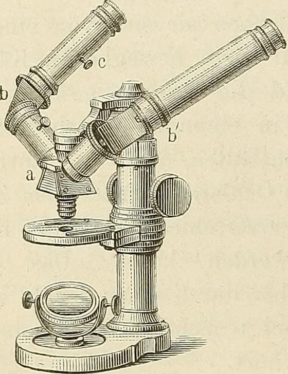 An illustration from Das mikroskop : Theorie, gebrauch, geschichte und gegenwärtiger zustand desselben, 1866, leaf 941