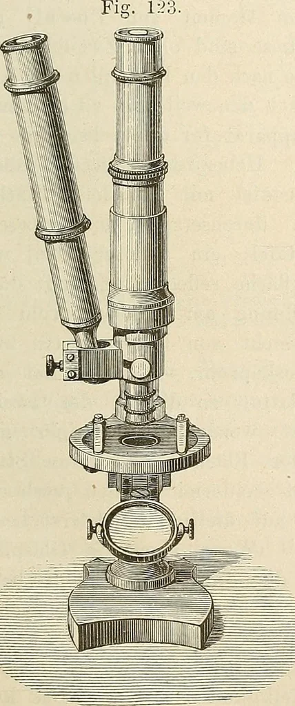 An illustration from Das mikroskop : Theorie, gebrauch, geschichte und gegenwärtiger zustand desselben, 1866, leaf 942