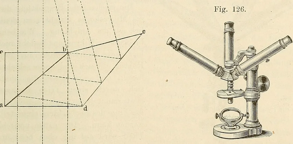 An illustration from Das mikroskop : Theorie, gebrauch, geschichte und gegenwärtiger zustand desselben, 1866, leaf 944