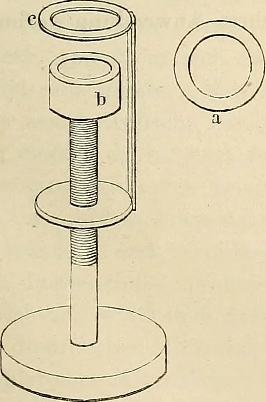 An illustration from Das mikroskop : Theorie, gebrauch, geschichte und gegenwärtiger zustand desselben, 1866, leaf 960