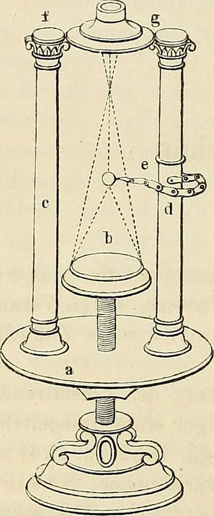 An illustration from Das mikroskop : Theorie, gebrauch, geschichte und gegenwärtiger zustand desselben, 1866, leaf 963