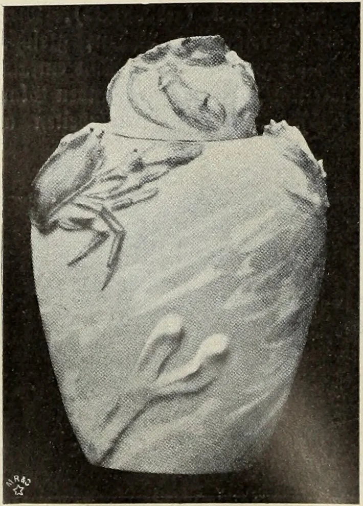 An illustration from Das Porzellan, 1902, leaf 149