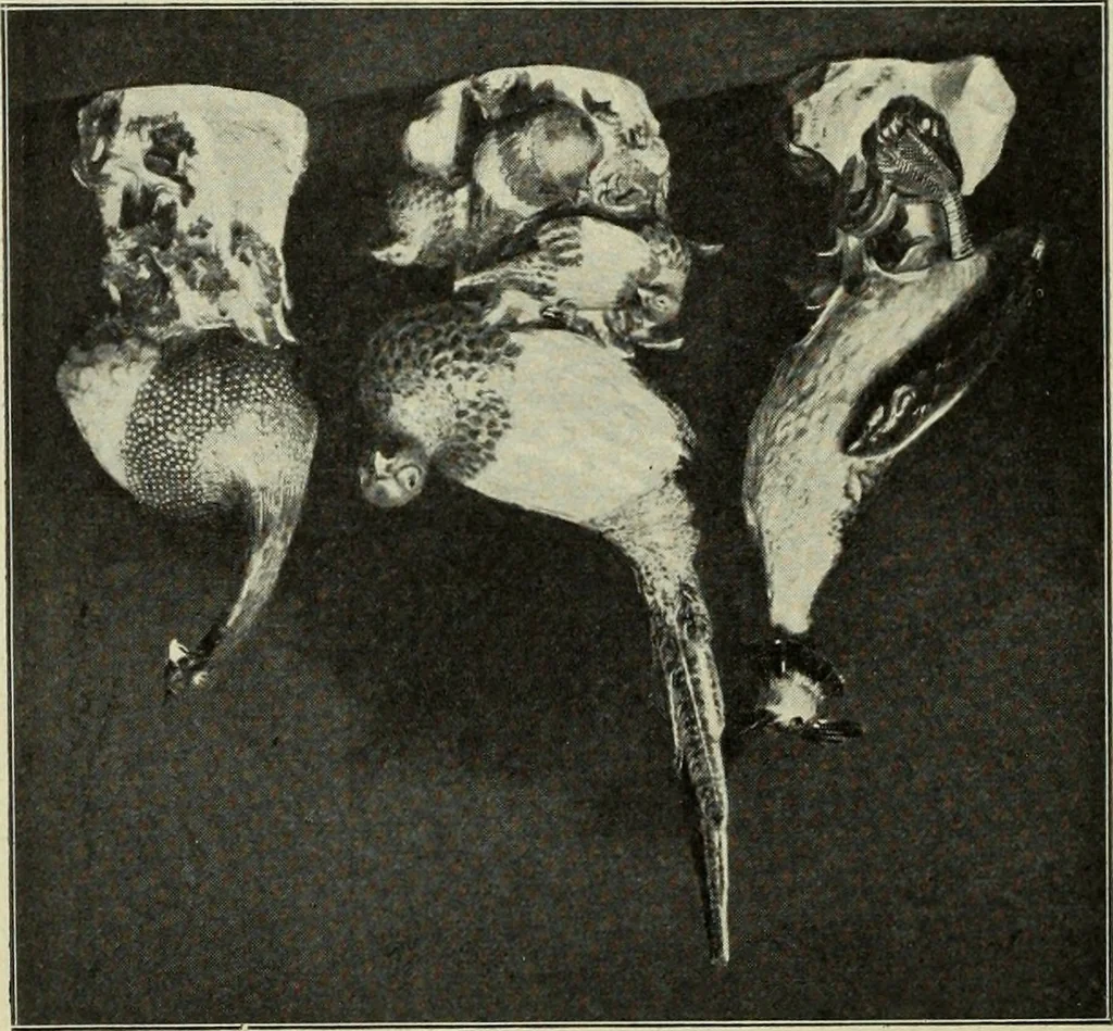 An illustration from Das Porzellan, 1902, leaf 36