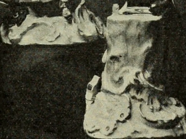 An illustration from Das Porzellan, 1902, leaf 50