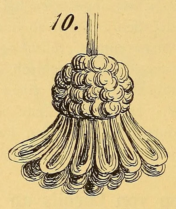 An illustration from Das Posamentier-Kunstgewerbe. Gründliche Anleitung zur Herstellung sämmtlicher Möbelposamenten. Praktisches Lehrbuch mit 100 Erläuternden Zeichnungen und Illustrationen im Text und 4 lithographirten Tafeln. Bezugsquellen-Addressbuch, 1894, leaf 50
