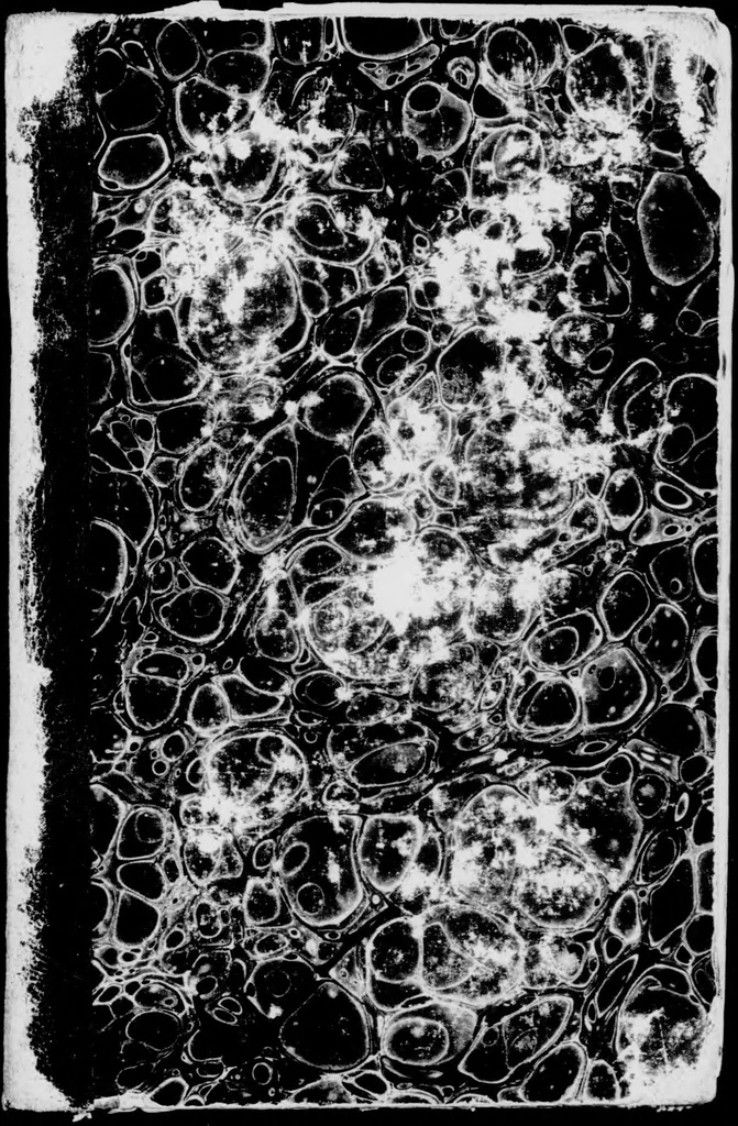 An illustration from Das ärgerliche Leben und schreckliche Ende des vielberüchtigten Erz-Schwarzkünstlers Johannis Fausti [microform], 1834, leaf 6