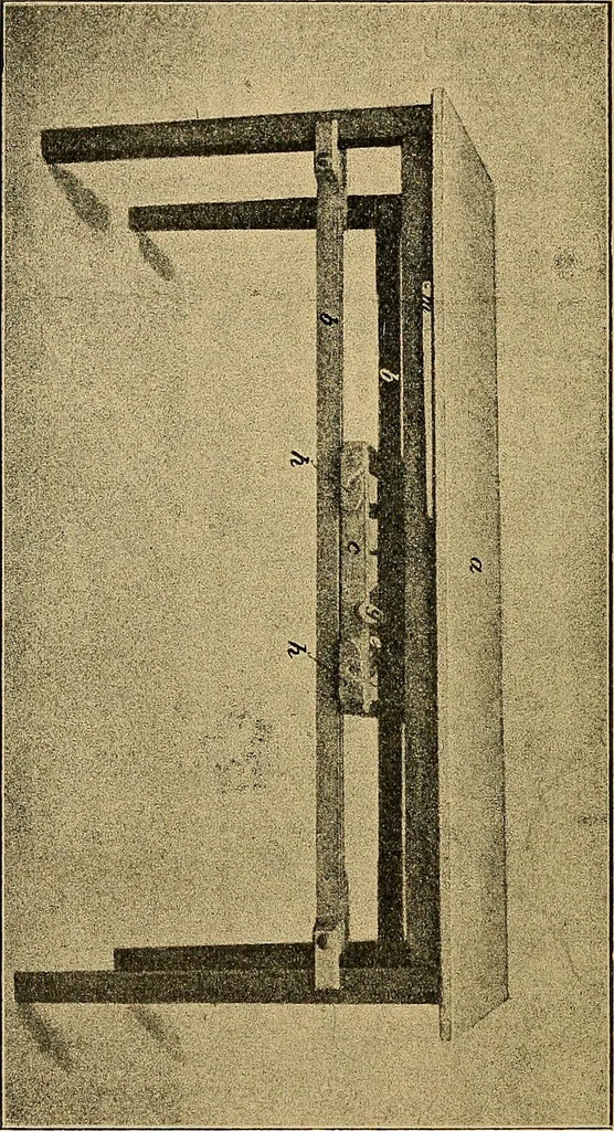 An illustration from Das Röntgen-Verfahren mit besonderer Berücksichtigung der militärischen Verhältnisse, 1903, leaf 158