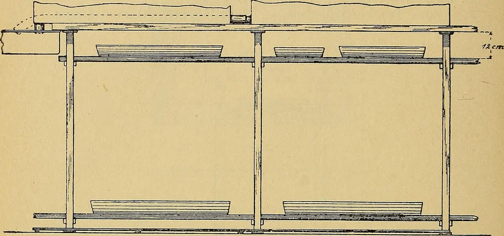 An illustration from Das Röntgen-Verfahren mit besonderer Berücksichtigung der militärischen Verhältnisse, 1903, leaf 184