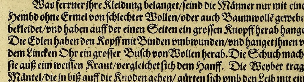 An illustration from Das sechste Theil der Neuwen Welt., 1596, leaf 126