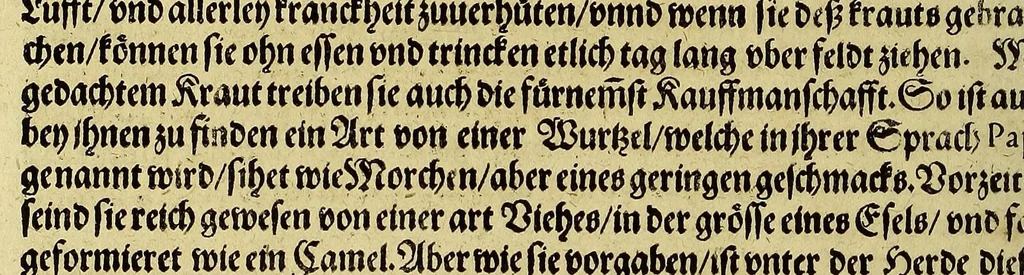 An illustration from Das sechste Theil der Neuwen Welt., 1596, leaf 126
