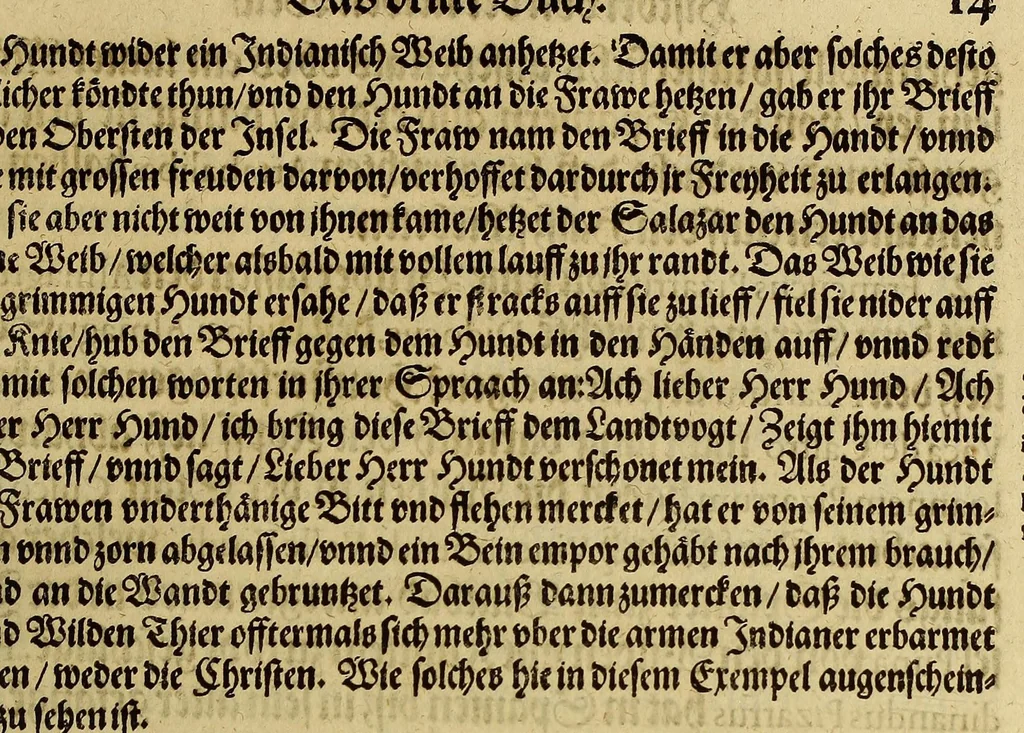 An illustration from Das sechste Theil der Neuwen Welt., 1596, leaf 47