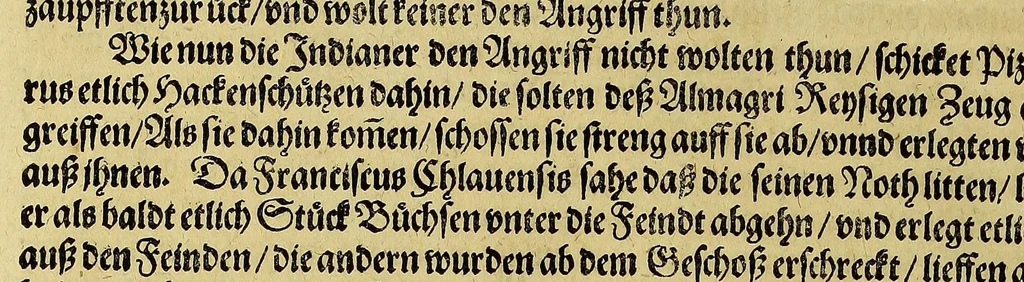 An illustration from Das sechste Theil der Neuwen Welt., 1596, leaf 60