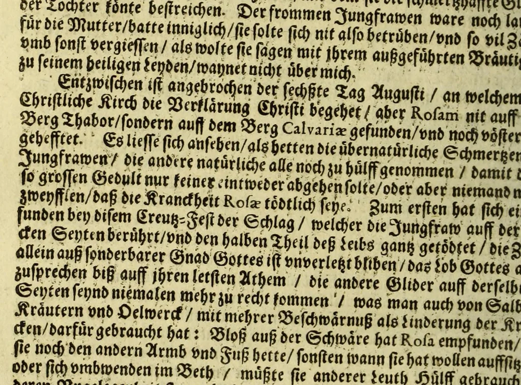 An illustration from Dass wunderbarliche Leben, und vil werther Todt der Ehrwürdigen Schwester Rosa De S. Maria von Lima gebürtig, auss der dritten Regel dess H. Vatters Dominici. : Anfänglich in Lateinischer Sprach Ihro Bäpstliche Heiligkeit Alexandro VII. zugeschriben von Adm. Rdo. & Eximio P. Magistro F. Leonardo Hansen, Ord. Praed. Provinciali Angliae & Socio reverendissimi P. Magistri Generalis: anjetzo aber zu Trost allen frommen Seelen, 1667, leaf 232