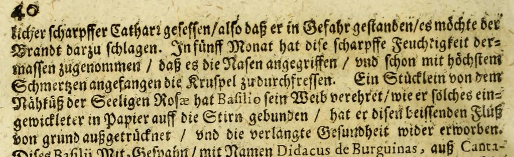 An illustration from Dass wunderbarliche Leben, und vil werther Todt der Ehrwürdigen Schwester Rosa De S. Maria von Lima gebürtig, auss der dritten Regel dess H. Vatters Dominici. : Anfänglich in Lateinischer Sprach Ihro Bäpstliche Heiligkeit Alexandro VII. zugeschriben von Adm. Rdo. & Eximio P. Magistro F. Leonardo Hansen, Ord. Praed. Provinciali Angliae & Socio reverendissimi P. Magistri Generalis: anjetzo aber zu Trost allen frommen Seelen, 1667, leaf 304