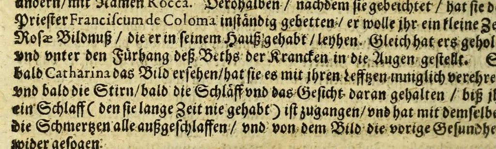 An illustration from Dass wunderbarliche Leben, und vil werther Todt der Ehrwürdigen Schwester Rosa De S. Maria von Lima gebürtig, auss der dritten Regel dess H. Vatters Dominici. : Anfänglich in Lateinischer Sprach Ihro Bäpstliche Heiligkeit Alexandro VII. zugeschriben von Adm. Rdo. & Eximio P. Magistro F. Leonardo Hansen, Ord. Praed. Provinciali Angliae & Socio reverendissimi P. Magistri Generalis: anjetzo aber zu Trost allen frommen Seelen, 1667, leaf 320