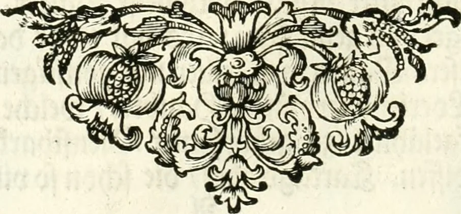 An illustration from Das vestalische ewige Feur, zur Geburts-Befrolokung deren Römischen Kayserlichen Mayestätten Leopold vnd Clavdia durchleuchtigisten Prinzessin Anna Maria auff der grossen Schau-Bühne gesungener vorgestellt, auss dem Wälschen in das Teutsche übersetzet, 1674, leaf 27