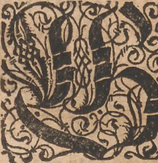 An illustration from Das vierdte Buch von der Neuwen Welt. Oder Neuwe vnd gründtliche Historien, von dem Nidergängischen Indien, so von Christophoro Columbo im Jar 1492 erstlich erfunden, 1594, leaf 11