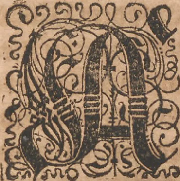 An illustration from Das vierdte Buch von der Neuwen Welt. Oder Neuwe vnd gründtliche Historien, von dem Nidergängischen Indien, so von Christophoro Columbo im Jar 1492 erstlich erfunden, 1594, leaf 114