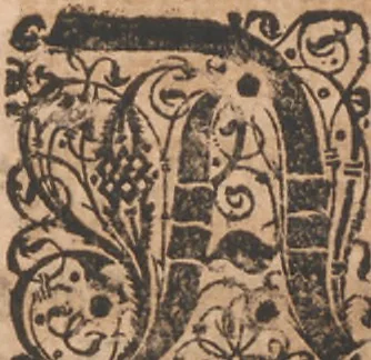 An illustration from Das vierdte Buch von der Neuwen Welt. Oder Neuwe vnd gründtliche Historien, von dem Nidergängischen Indien, so von Christophoro Columbo im Jar 1492 erstlich erfunden, 1594, leaf 118