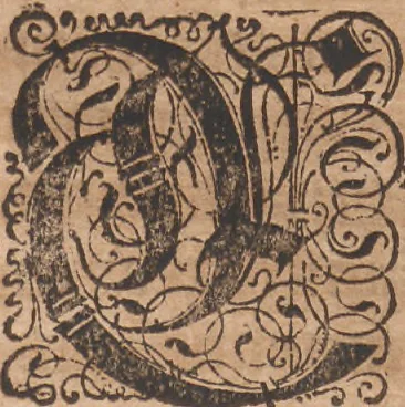 An illustration from Das vierdte Buch von der Neuwen Welt. Oder Neuwe vnd gründtliche Historien, von dem Nidergängischen Indien, so von Christophoro Columbo im Jar 1492 erstlich erfunden, 1594, leaf 123