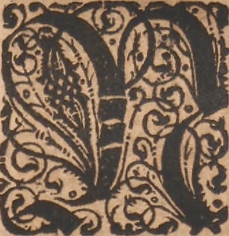 An illustration from Das vierdte Buch von der Neuwen Welt. Oder Neuwe vnd gründtliche Historien, von dem Nidergängischen Indien, so von Christophoro Columbo im Jar 1492 erstlich erfunden, 1594, leaf 126